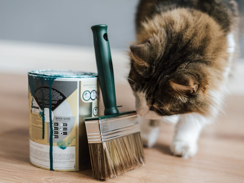 **Kreativne Uradi Sam Ideje za Unapređenje Vašeg Doma: Inspiracija za DIY Projekte** - Fourth Image