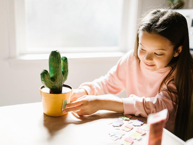 ** Oslobodite Maštu Uz Lako Izvedive DIY Projekte za Svaki Dom** - Fourth Image