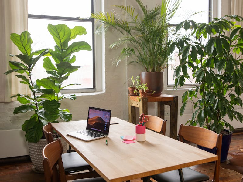 **Savjeti i Ideje za Kako Stvoriti Minimalistički i Udoban Ambijent** - Second Image