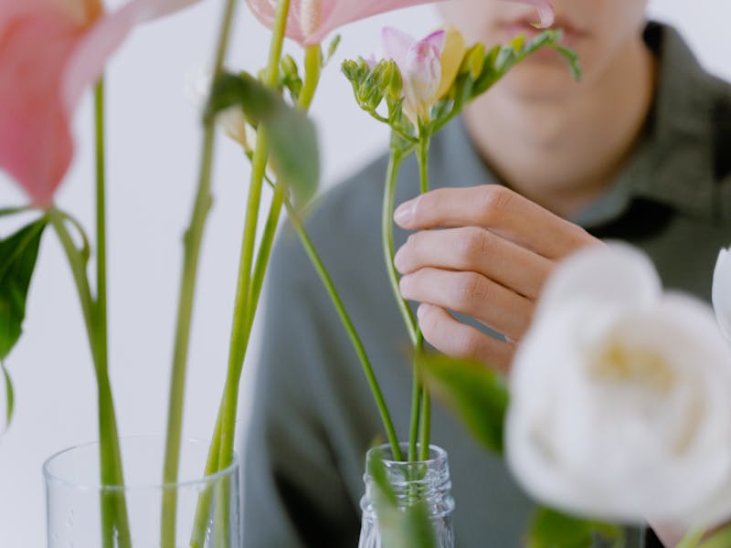 **Vrhunske Uradi Sam Ideje: Kreativni Projekti za Uređenje Doma i Vrt** - Fourth Image