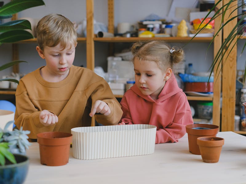 ** Kreativni DIY Projekti za Dekoraciju Doma, Vrtlarstvo i Djecu** - Fourth Image