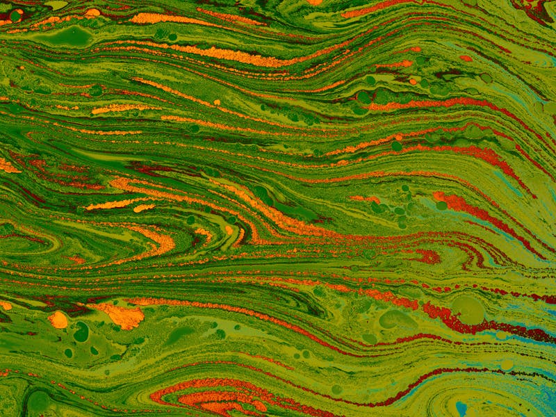 ** 5 Inspirativnih Projekata za Unikatni Domaći Dekor** - Fourth Image