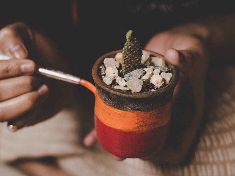 ** Top 10 DIY Projekata za Kreativno Uređenje Vašeg Doma i Vrt** - Fourth Image