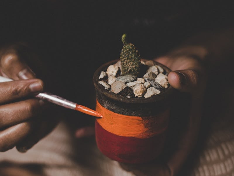 ** Top 10 DIY Projekata za Kreativno Uređenje Vašeg Doma i Vrt** - Third Image