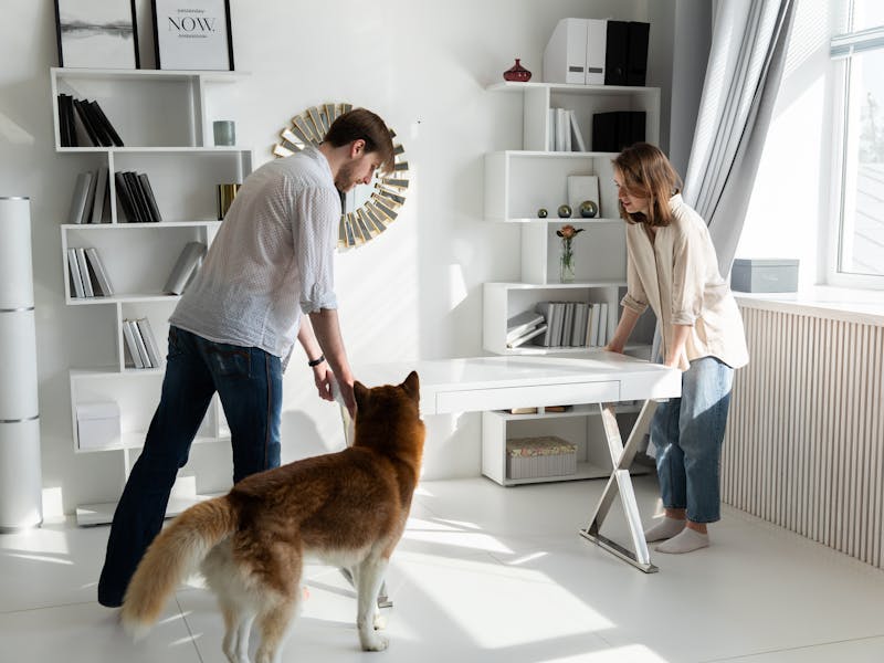 ** 6 Savjeta za Unos Nordijskog Šarma u Vaš Prostor** - Second Image