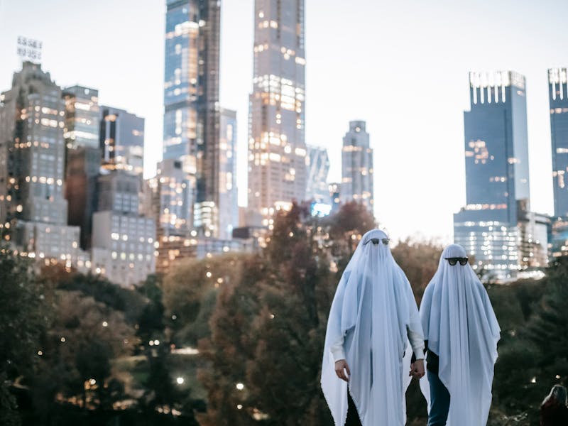 ** Savjeti za Unos Duh Sjevera u Vaš Prostor** - Fourth Image