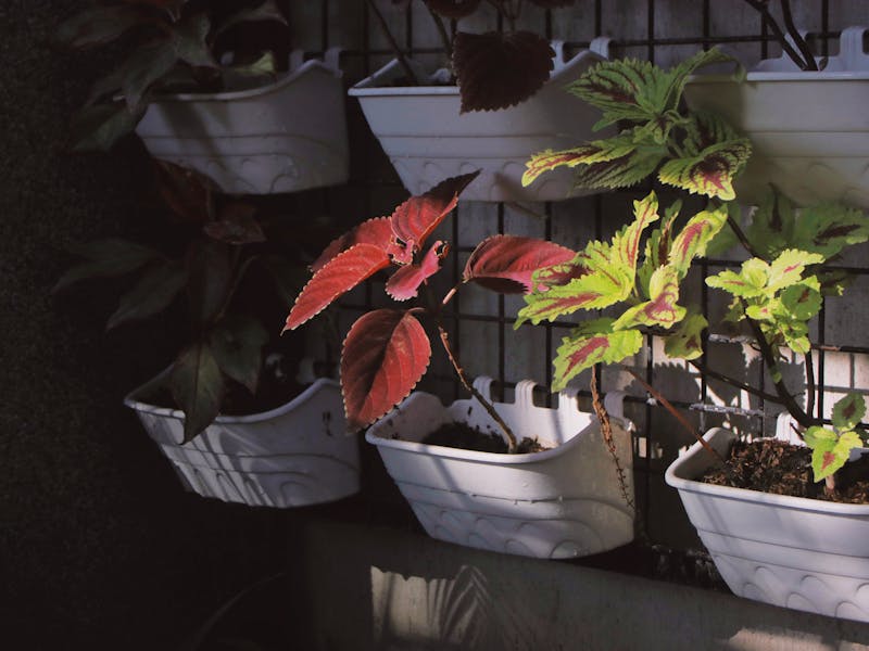 **Savjeti za Dizajn Interijera: Kako Urediti Savršen Dom** - Fourth Image