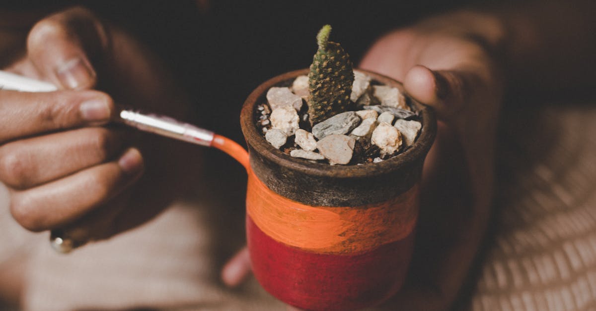 Jednostavni Projekti za Dekoraciju, Vrtlarenje i Personalizovane Poklone