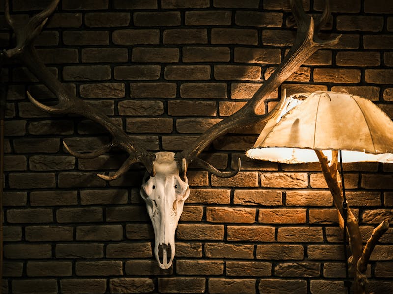 **Najbolje Kreirajte Unikatni Ugođaj U Svojem Domu** - Fourth Image