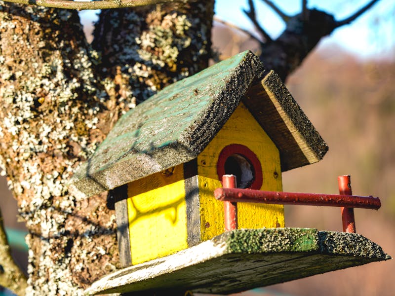 **Optimalni Savjeti za Uređenje Vrtova i Bašta: Kako Stvoriti Oazu Prirode** - Second Image