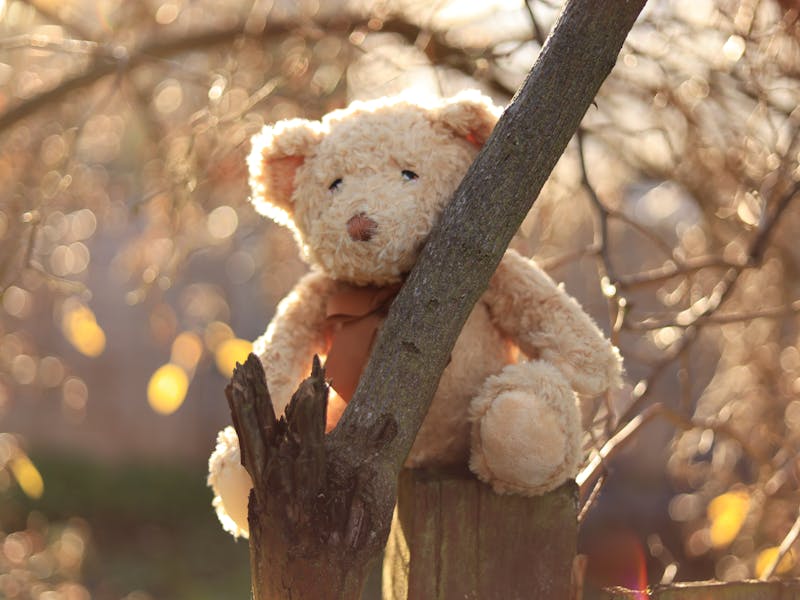 ** Savjeti i Ideje za Harmoniju i Udobnost** - Third Image