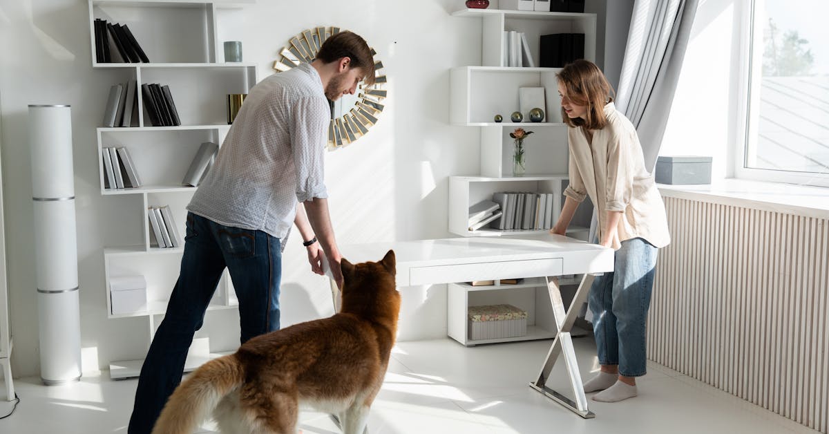 Kako Unijeti Skandinavski Šarm u Vaš Dom: Vodič za Uređenje s Nordijskim Stilom
