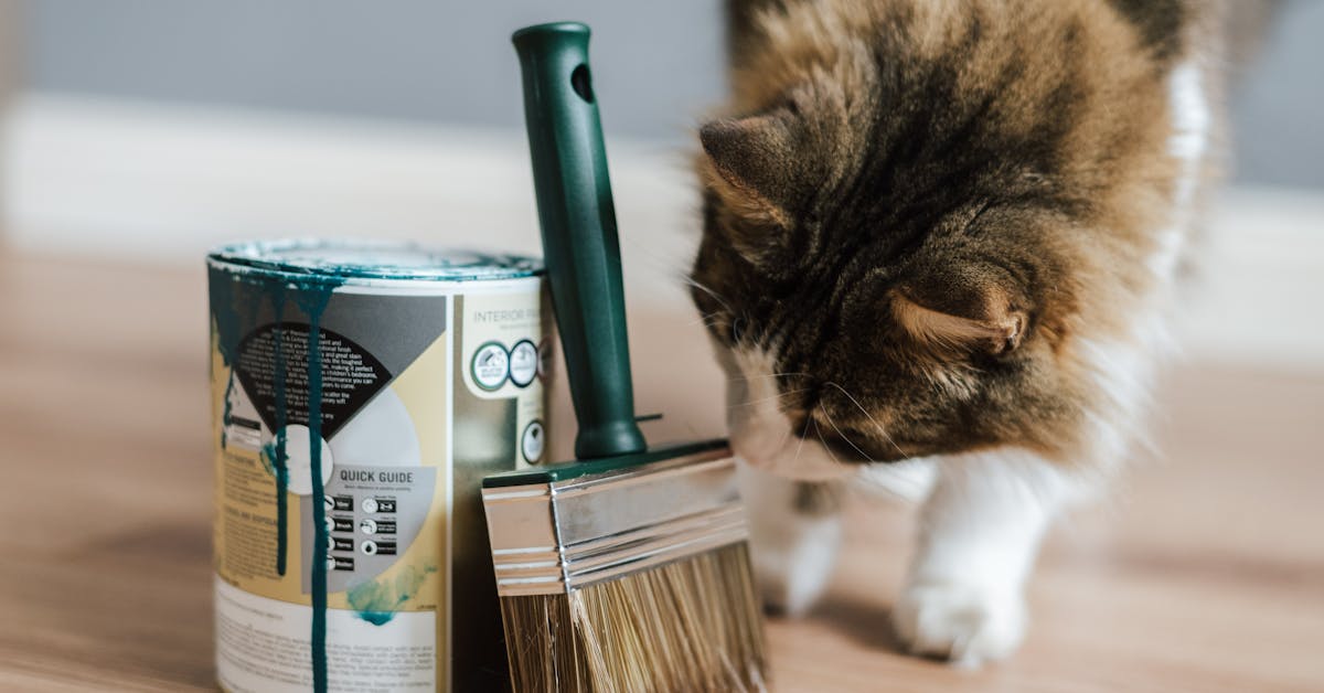 Inspirativni DIY Projekti za Uređenje Doma: Kako Stvoriti Savršen Prostor Kod Kuće