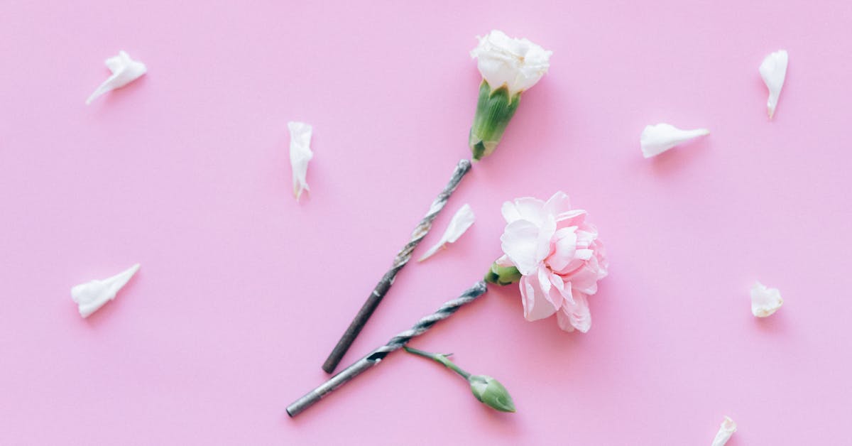 Vrhunske DIY Ideje za Uređenje Doma: Kreativni Uradi Sam Projekti za Svaki Prostor