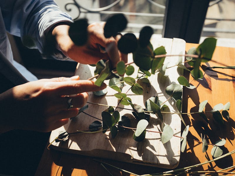 **Naslov za SEO i Adsense: Kreativni Uradi Sam Projekti: Inspirativne Ideje za Dekoraciju, Vrtlarstvo i Personalizovane Poklone** - Third Image