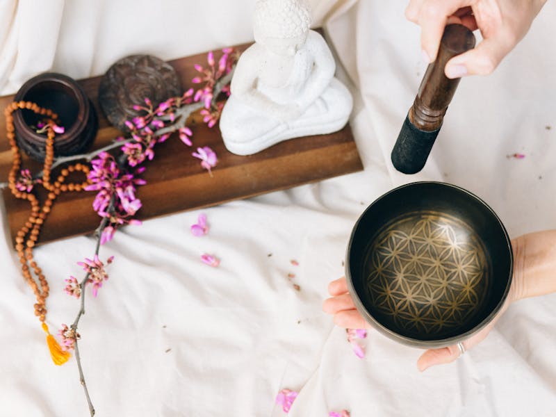 ** Savjeti za uspješan vrt: Kako stvoriti zdravu i lijepu baštu** - Third Image