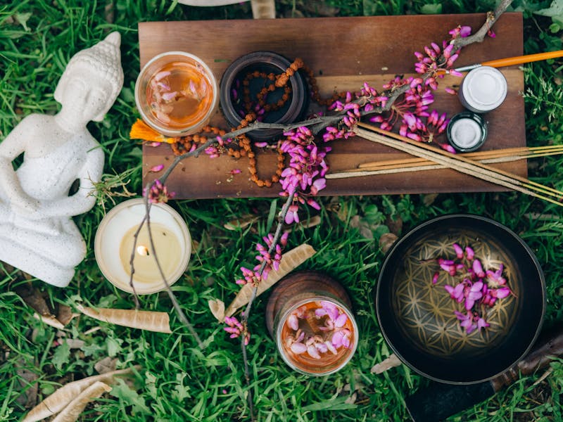 ** Savjeti za uspješan vrt: Kako stvoriti zdravu i lijepu baštu** - Second Image