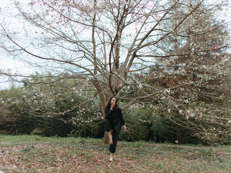 **Kako Unaprijediti Svoj Vrt: 7 Kreativnih Ideja za Proljetno Uređenje Bašte** - Fourth Image