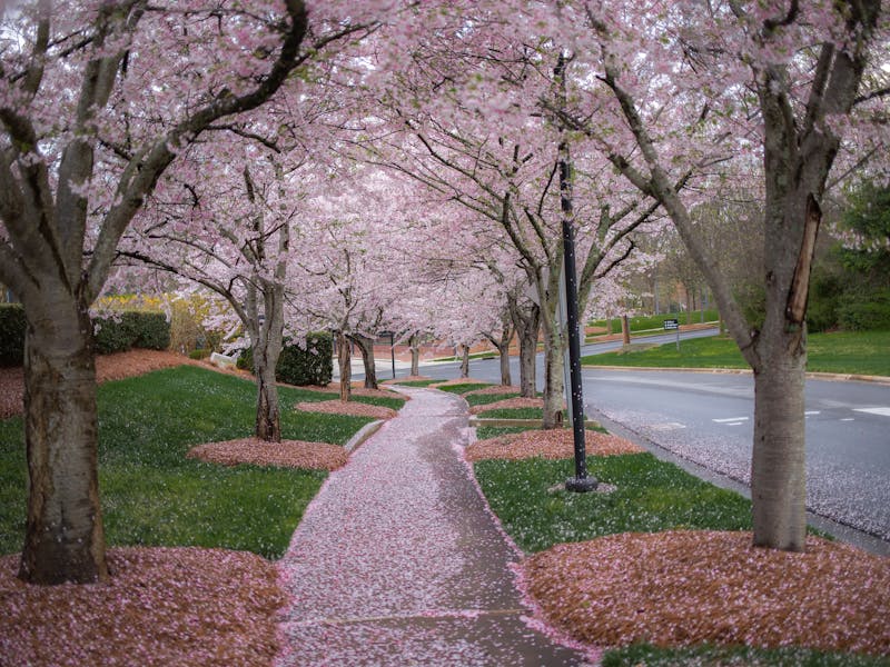 **Savjeti za Uređenje Vrtova u Proljeće: Kako Oživjeti Vaš Vanjski Prostor** - Third Image