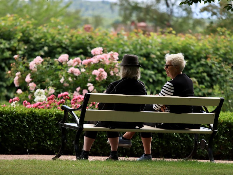 **Savjeti za Vrt i Baštu: Kako Stvoriti Oazu Mira i Uživanja** - Second Image