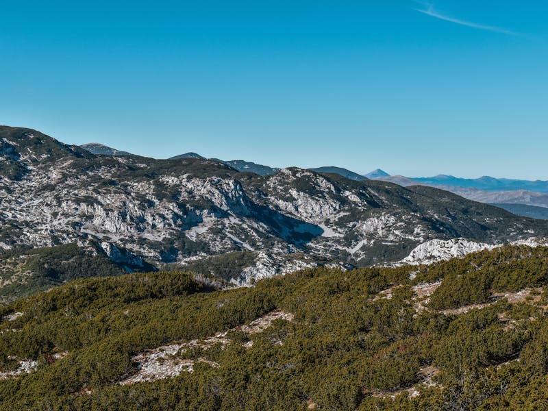 **Kako Stvoriti Oazu Prirode: Savjeti za Uređenje Vrtova i Bašti u Bosni i Hercegovini** - Fourth Image