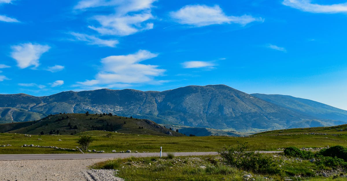 Kada i Kako Pravilno Saditi Biljke: Vrhunski Vodič za Vrtlarstvo u Bosni i Hercegovini
