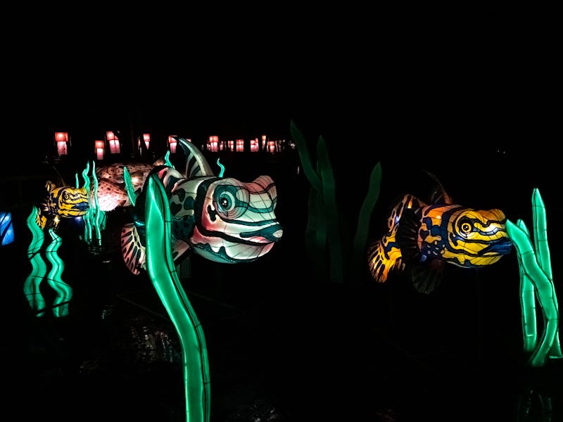 ** Kreativni Projekti za Unikatno Proslavljanje Nove Godine** - Fourth Image