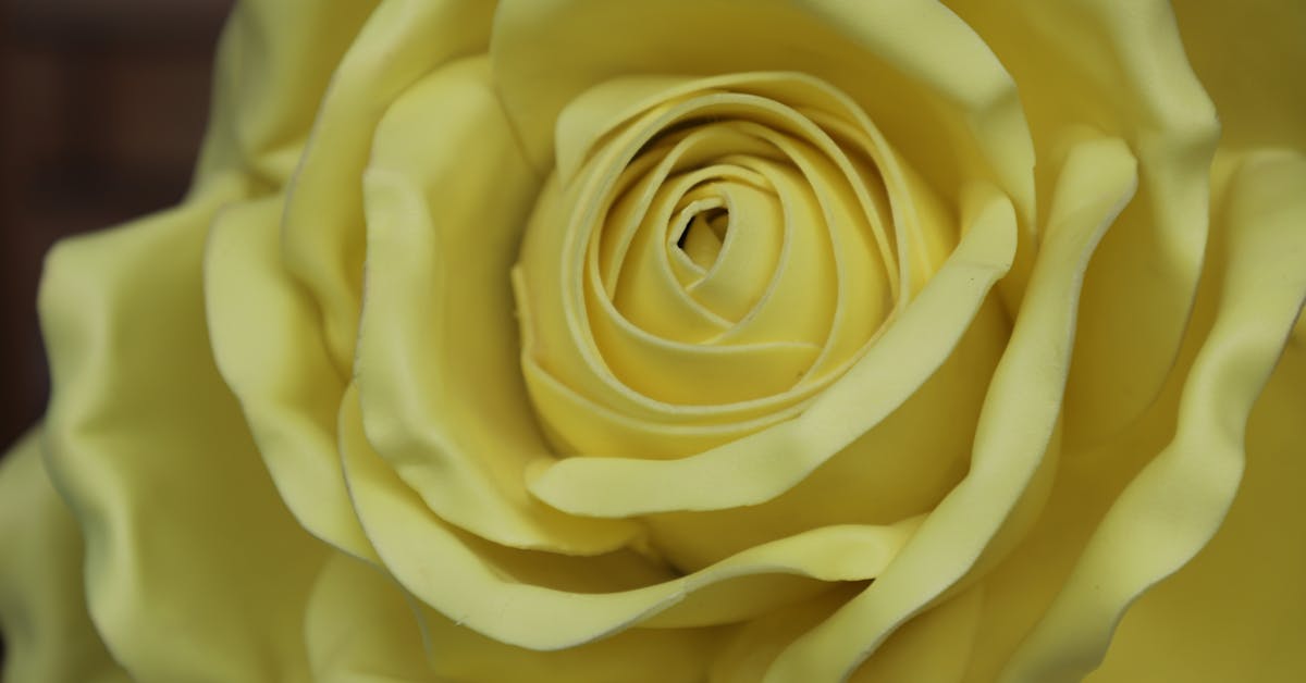 Savjeti i Ideje za Proljetno Vrtlarstvo: Kako Stvoriti Savršenu Baštu u Bosni i Hercegovini