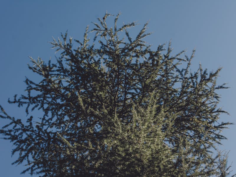 **Najbolje  Kreativni Načini za Proslavu Nove Godine** - Third Image