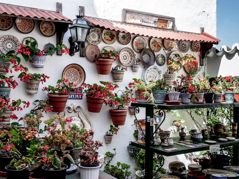 **Kako Pripremiti Vaš Vrt za Proljeće: Savjeti i Ideje za Uređenje Bašte** - Fourth Image