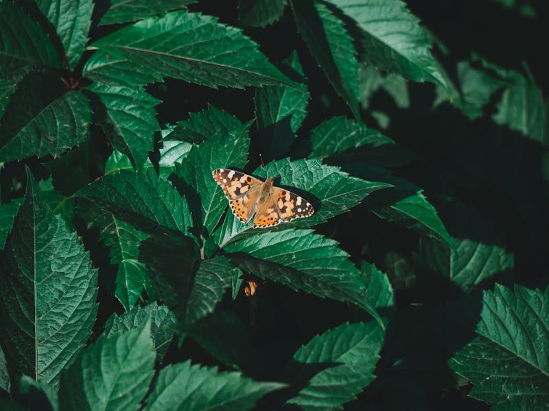 **Proljetne Ideje za Uređenje Bašte: Savjeti za Savršen Vrt i Opuštanje na Otvorenom** - Fourth Image