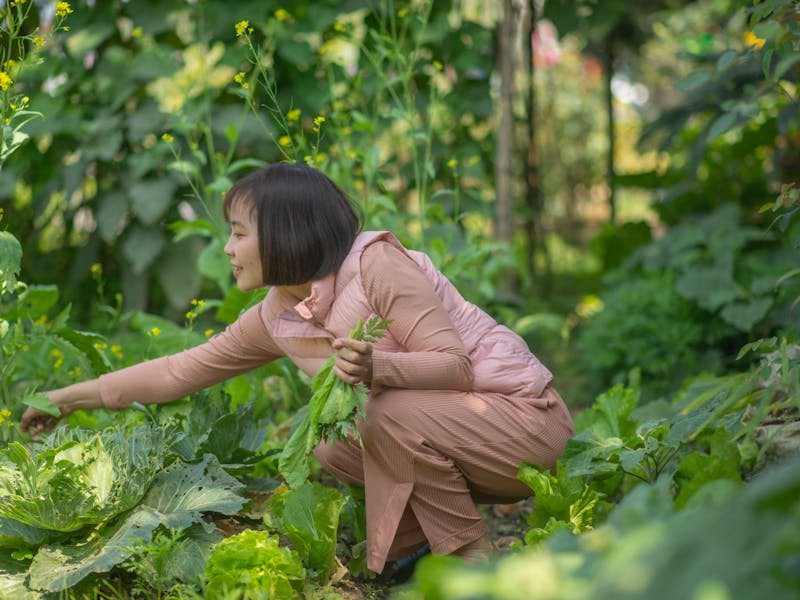**Proljetne Ideje za Baštu: Savjeti za Uređenje i Uzgoj Plodova u Vašem Dvorištu** - Fourth Image