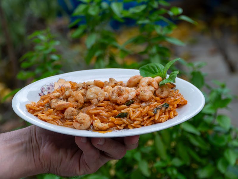 **Savjeti za Uređenje Vrtova i Bašta: Kako Stvoriti Zdrav i Lijep Prostor za Opuštanje** - Second Image