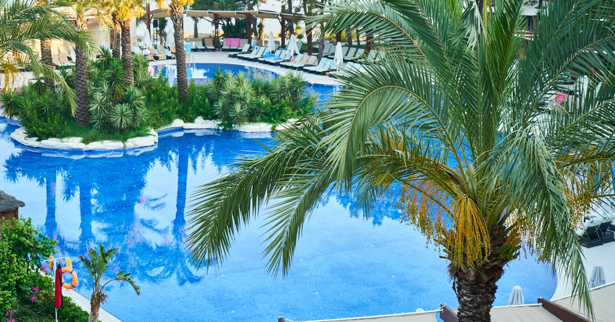 Savjeti za Vrt i Baštu: Kako Stvoriti Rajsku Oazu u Dvorištu – Vodič za Početnike i Iskusne Vrtlare