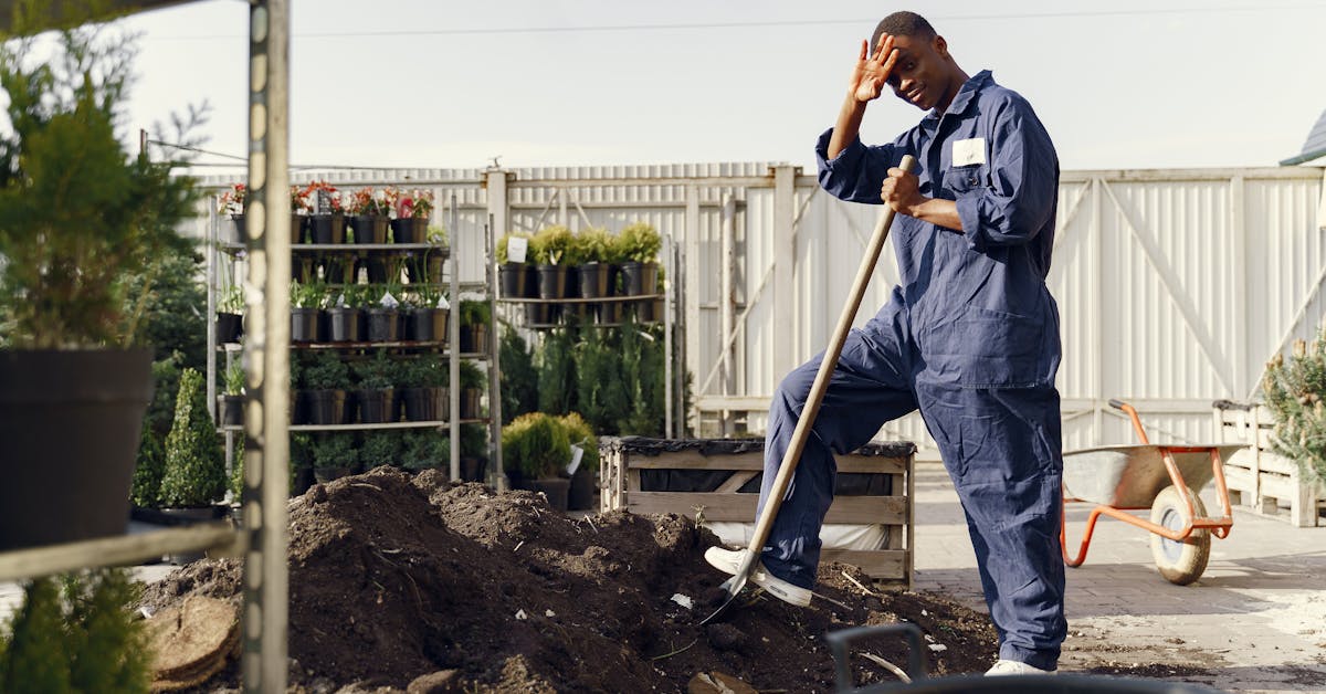 Kako Pripremiti Vaš Vrt za Proljeće: Savjeti i Ideje za Uređenje Bašte