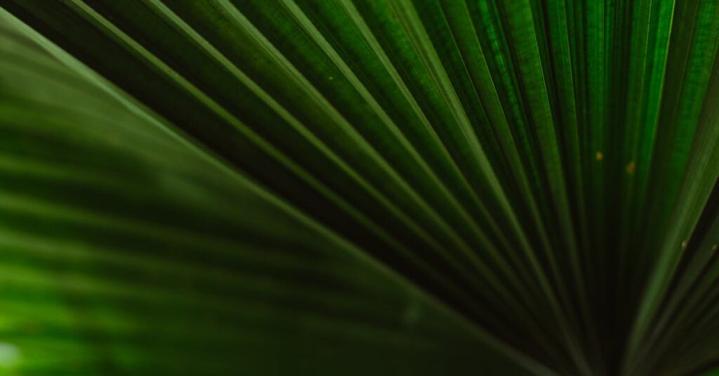 pexels-photo-4955089