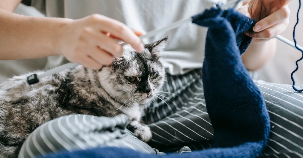 Postani Sam Svoj Majstor: 8 DIY Savjeta i Ideja za Kreativne Projekte u Kući