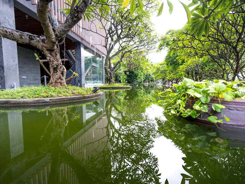 **Kako Stvoriti Vrtsku Oazu Mira: 10 Savjeta za Uređenje i Održavanje Vaše Bašte** - Second Image