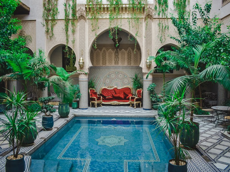 **Savjeti za Vrt i Baštu: Kako Stvoriti Rajsku Oazu u Dvorištu - Vodič za Početnike i Iskusne Vrtlare** - Third Image