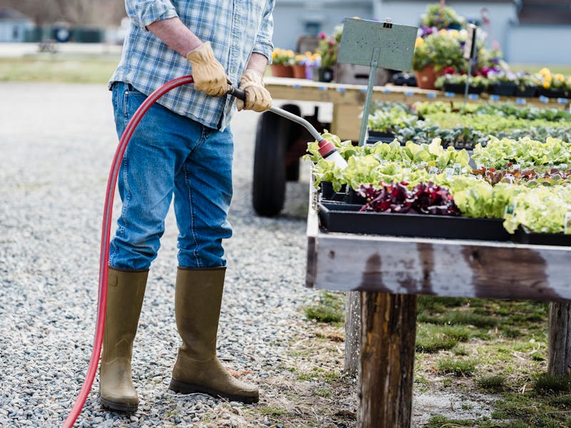 **Proljetne Ideje za Baštu: Savjeti za Uređenje i Uzgoj Plodova u Vašem Dvorištu** - Second Image