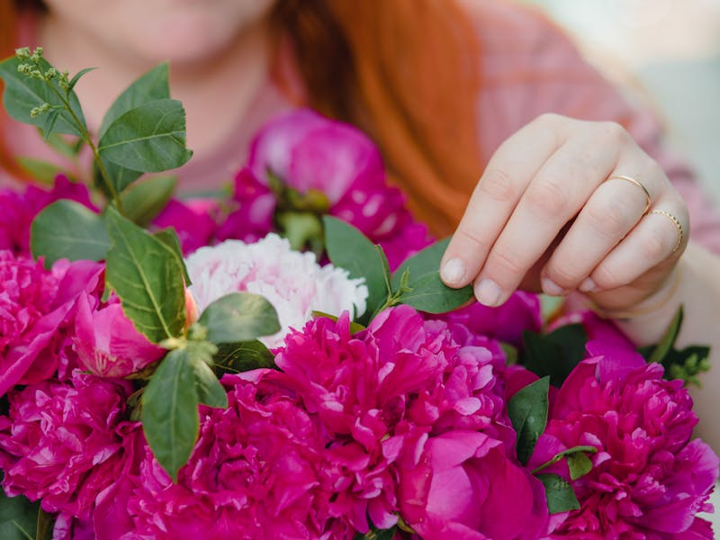 **Proljetni Vodič za Vrtlarenje: Ideje i Savjeti za Predivnu Baštu** - Third Image