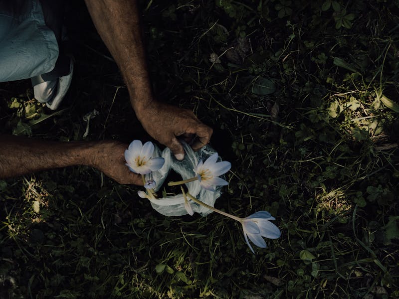 **Proljetne Ideje za Baštu: Savjeti za Uređenje i Sadnju Biljaka** - Second Image