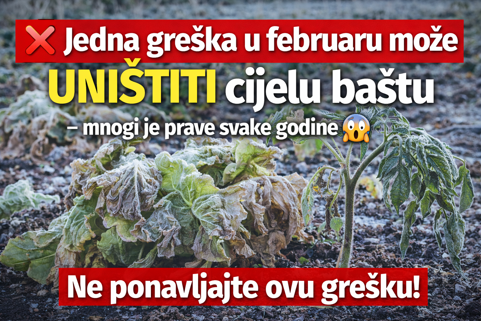 ❌ Jedna greška u februaru može UNIŠTITI cijelu baštu – mnogi je prave svake godine