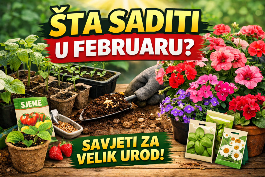 februar