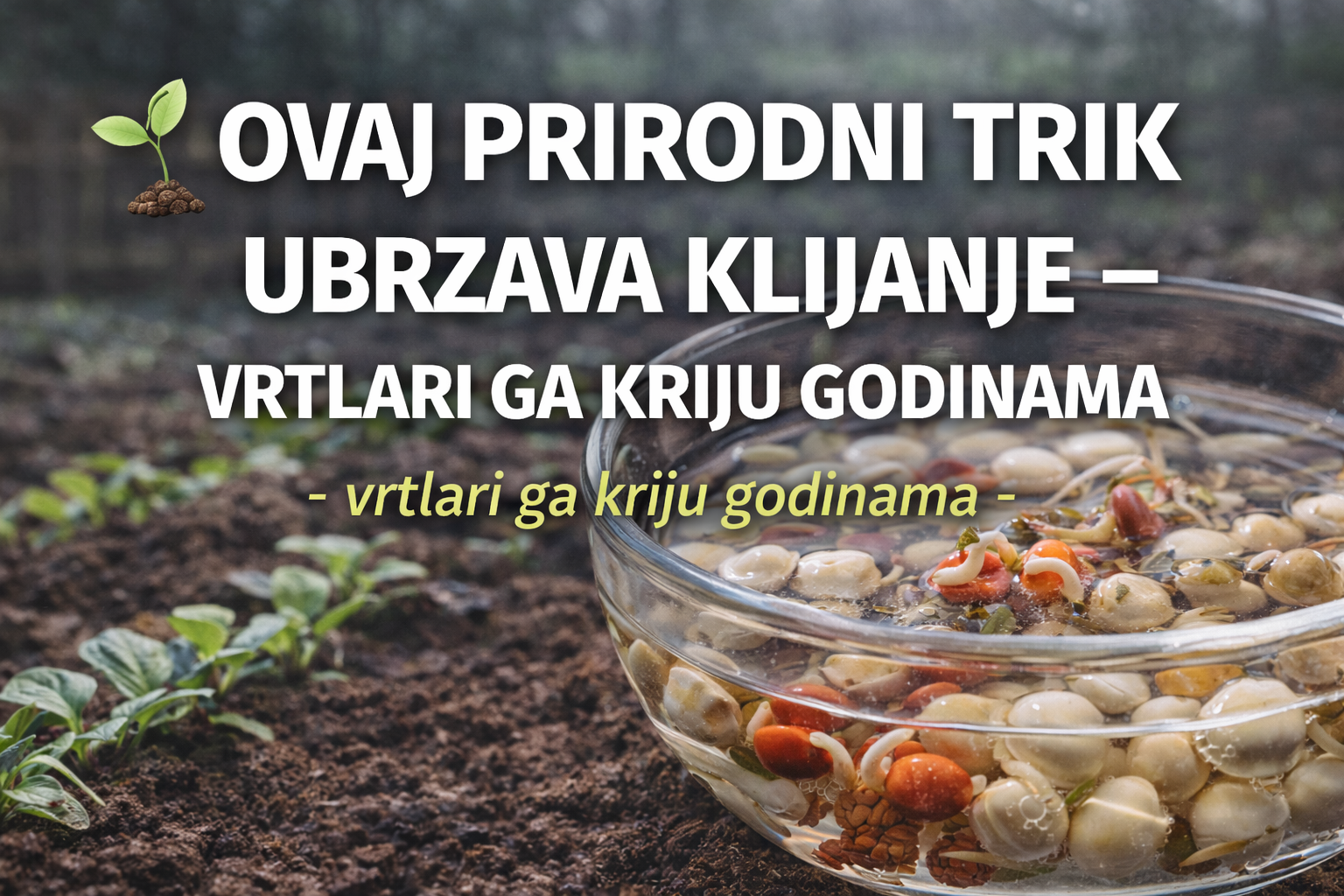 🌿 Ovaj prirodni trik ubrzava klijanje – vrtlari ga kriju godinama