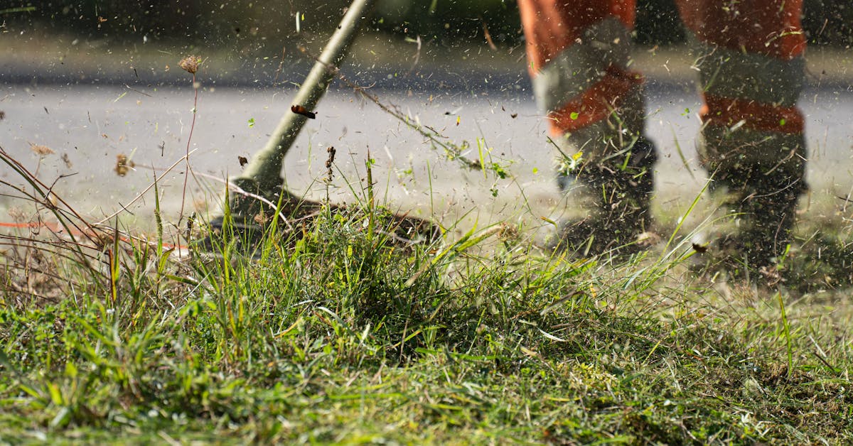 Savjeti za Održavanje Vrtova i Bašti: Kako Unaprijediti Svoj Prostor i Uživati u Plodovima