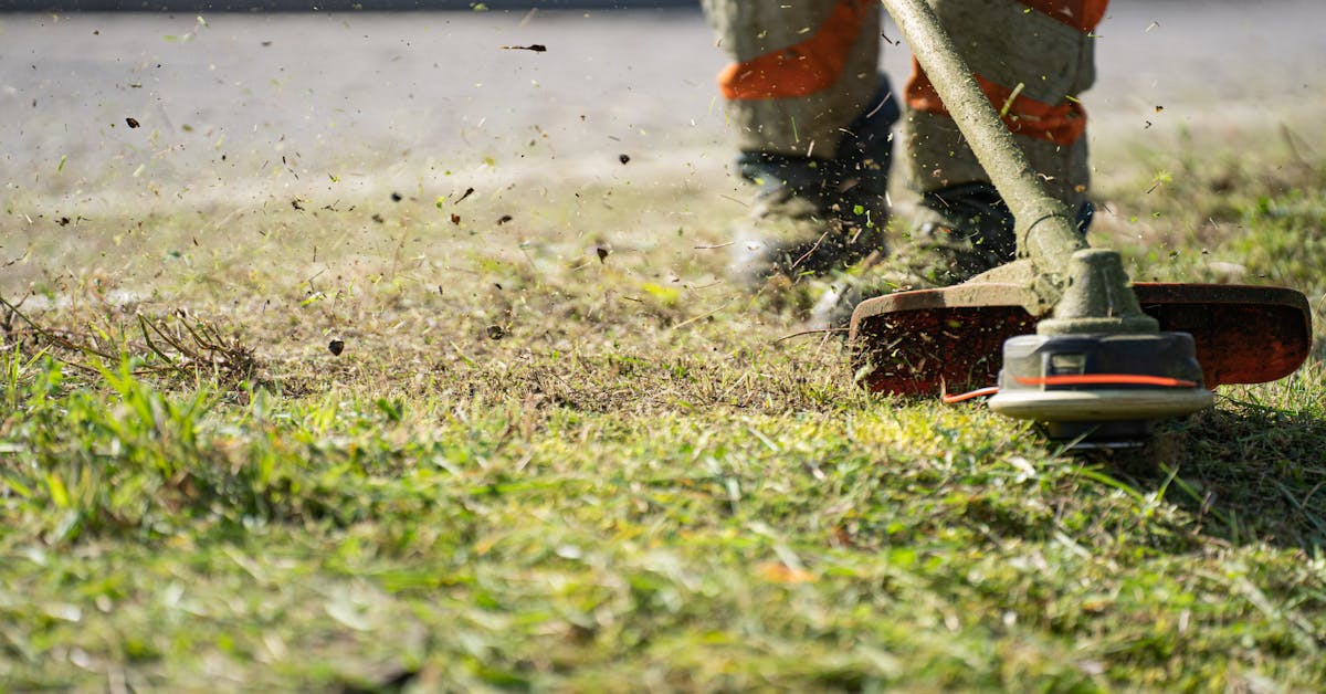Proljetne Ideje za Osvježavanje Vašeg Vrta: Savjeti za Uređenje Bašte i Održavanje Travnjaka