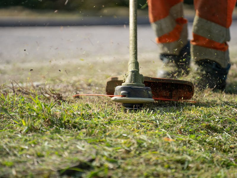 **Savjeti za Održavanje Vrtova i Bašti: Kako Unaprijediti Svoj Prostor i Uživati u Plodovima** - Fourth Image