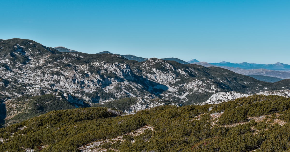Kada i Kako Pravilno Saditi Biljke: Vodič za Uspješan Vrt u Bosni i Hercegovini