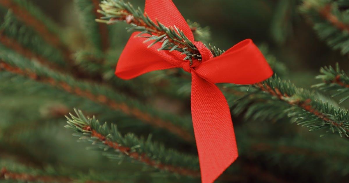 Savjeti za Unos Duh Sjevera u Vaš Prostor